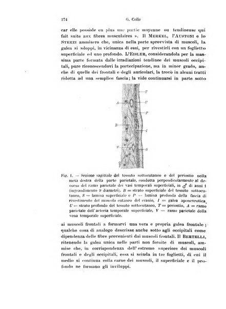 Archivio italiano di anatomia e di embriologia