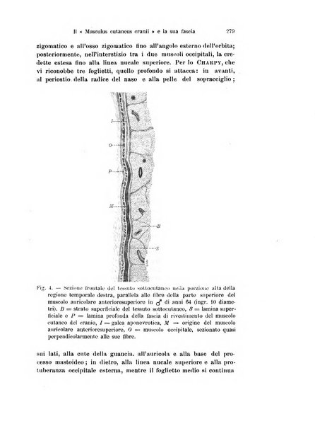 Archivio italiano di anatomia e di embriologia