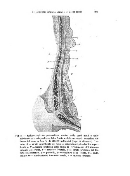 Archivio italiano di anatomia e di embriologia