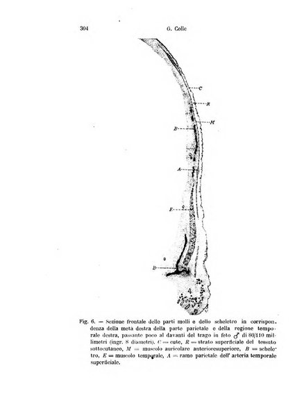 Archivio italiano di anatomia e di embriologia