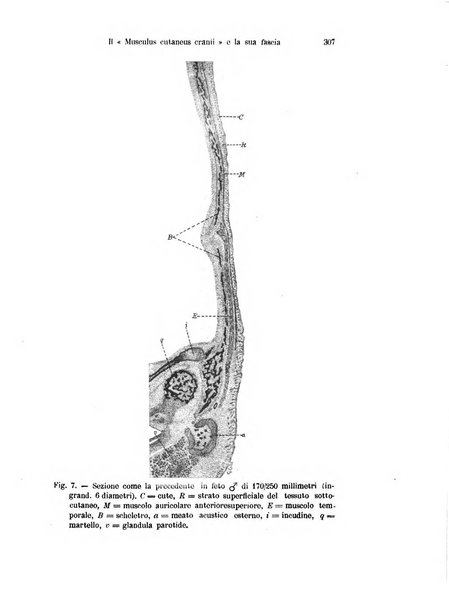 Archivio italiano di anatomia e di embriologia