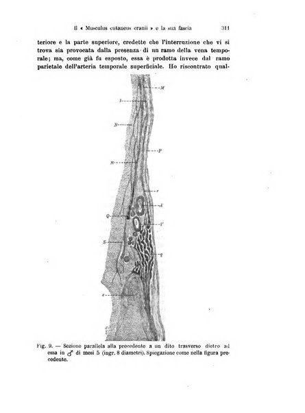 Archivio italiano di anatomia e di embriologia