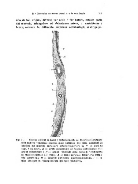 Archivio italiano di anatomia e di embriologia