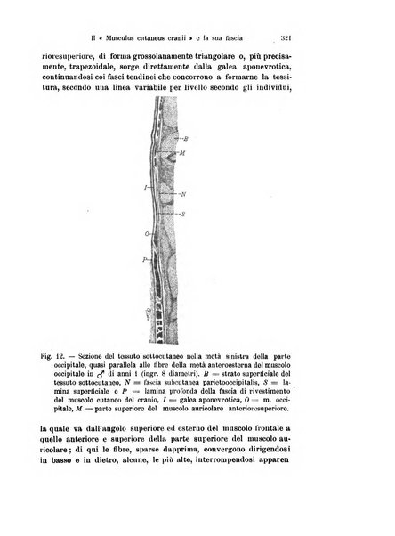 Archivio italiano di anatomia e di embriologia