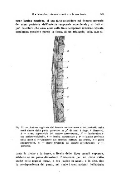 Archivio italiano di anatomia e di embriologia