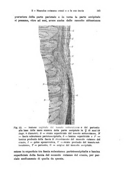 Archivio italiano di anatomia e di embriologia