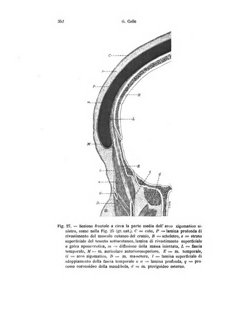 Archivio italiano di anatomia e di embriologia