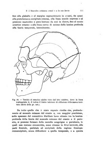 Archivio italiano di anatomia e di embriologia