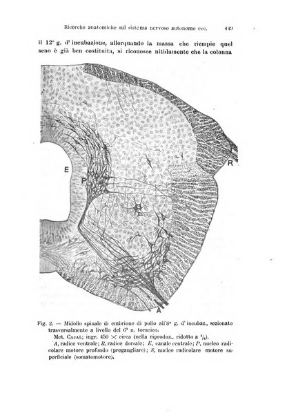 Archivio italiano di anatomia e di embriologia