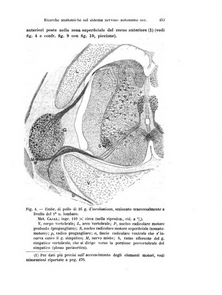 Archivio italiano di anatomia e di embriologia