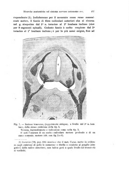 Archivio italiano di anatomia e di embriologia