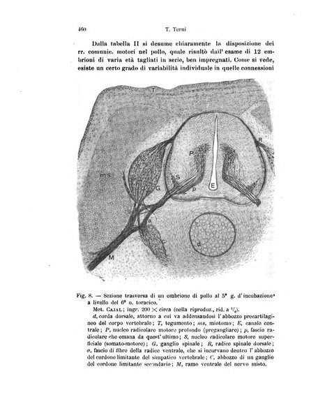 Archivio italiano di anatomia e di embriologia