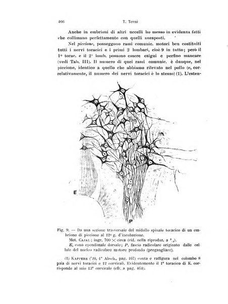 Archivio italiano di anatomia e di embriologia