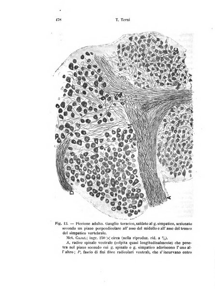 Archivio italiano di anatomia e di embriologia