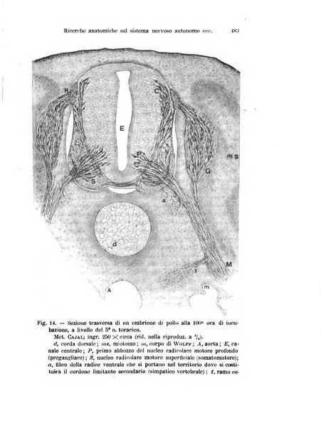 Archivio italiano di anatomia e di embriologia