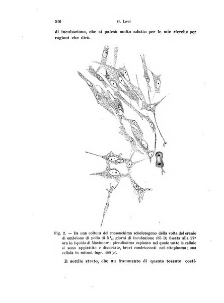 Archivio italiano di anatomia e di embriologia