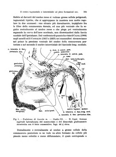 Archivio italiano di anatomia e di embriologia