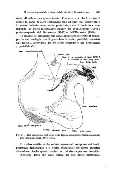 Archivio italiano di anatomia e di embriologia