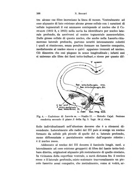 Archivio italiano di anatomia e di embriologia