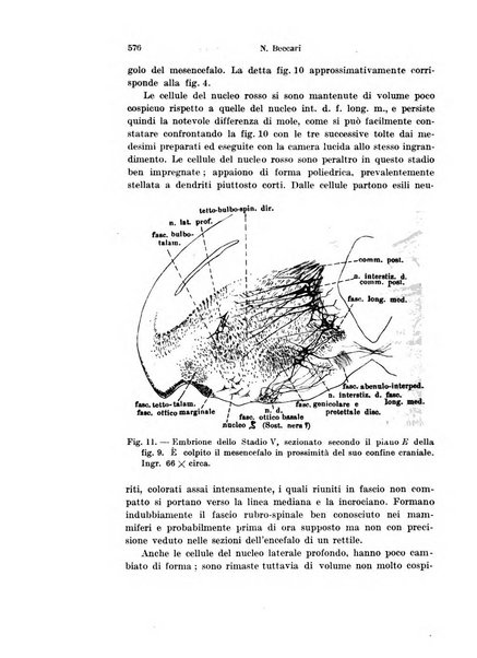 Archivio italiano di anatomia e di embriologia