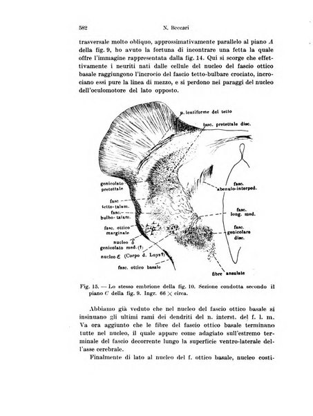 Archivio italiano di anatomia e di embriologia