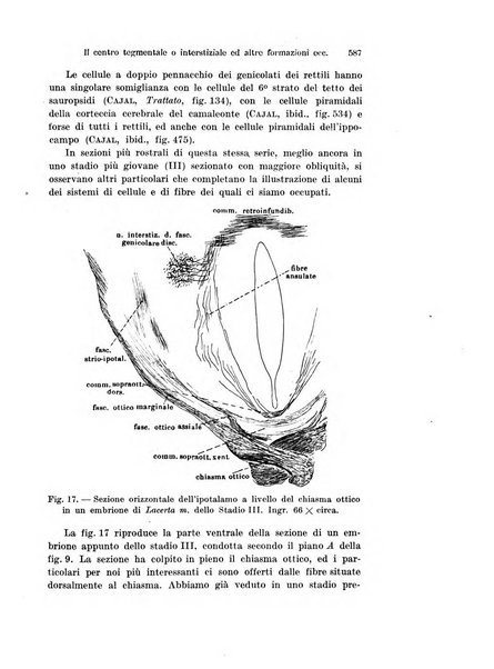 Archivio italiano di anatomia e di embriologia