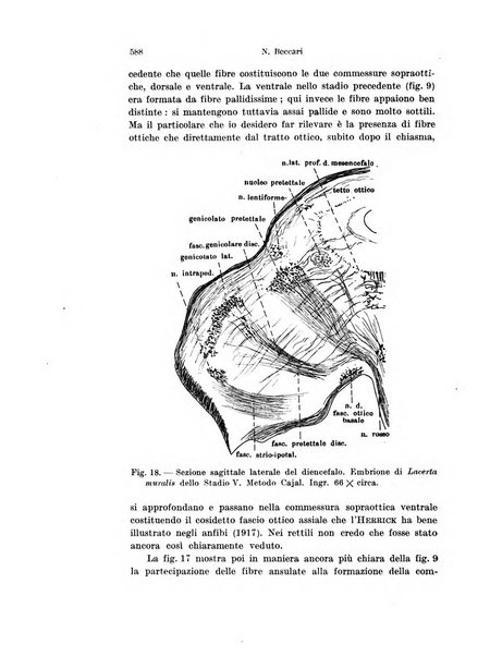 Archivio italiano di anatomia e di embriologia