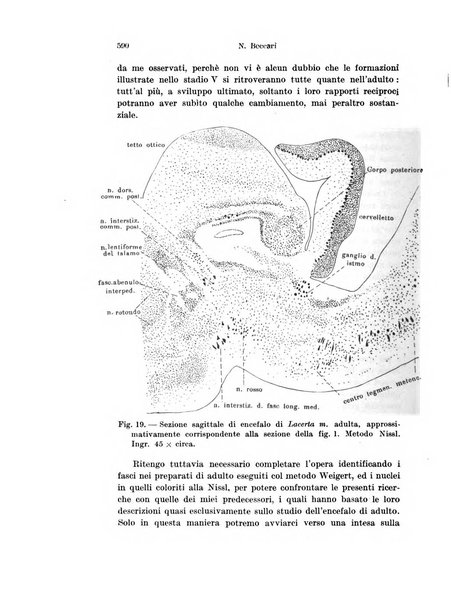 Archivio italiano di anatomia e di embriologia