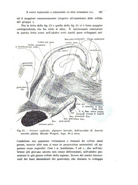 Archivio italiano di anatomia e di embriologia