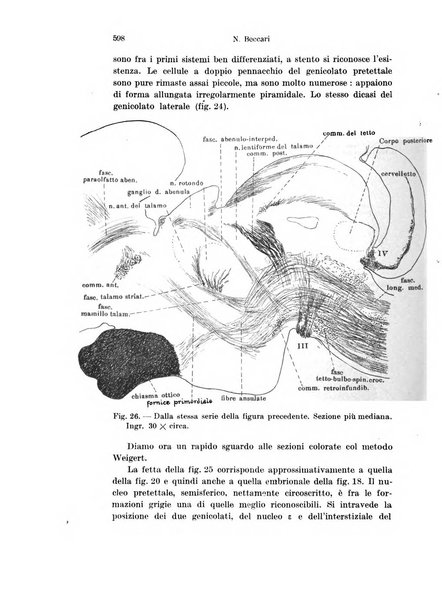 Archivio italiano di anatomia e di embriologia