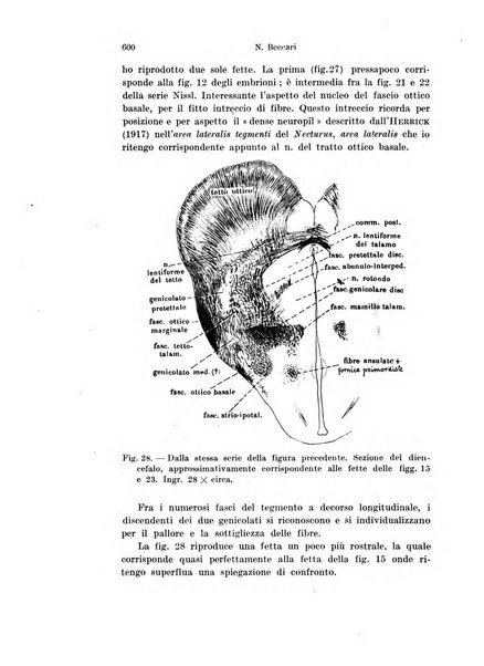 Archivio italiano di anatomia e di embriologia