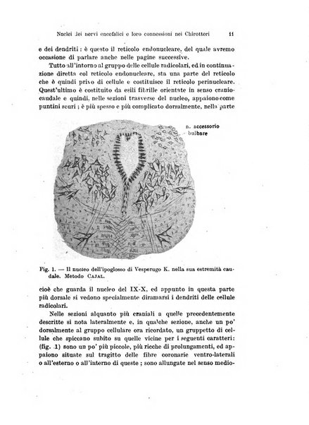 Archivio italiano di anatomia e di embriologia