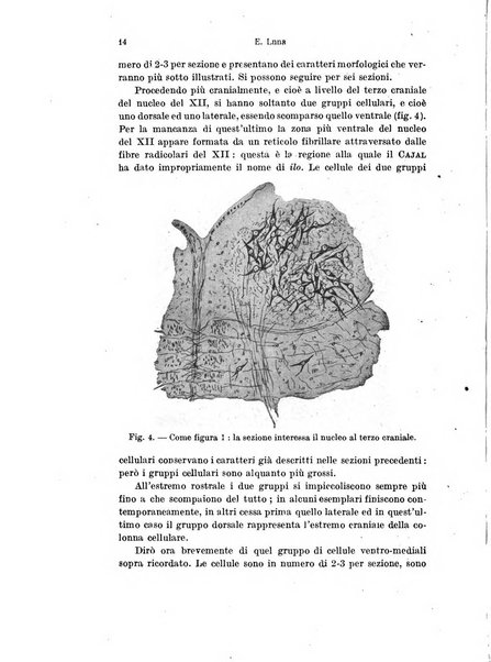 Archivio italiano di anatomia e di embriologia