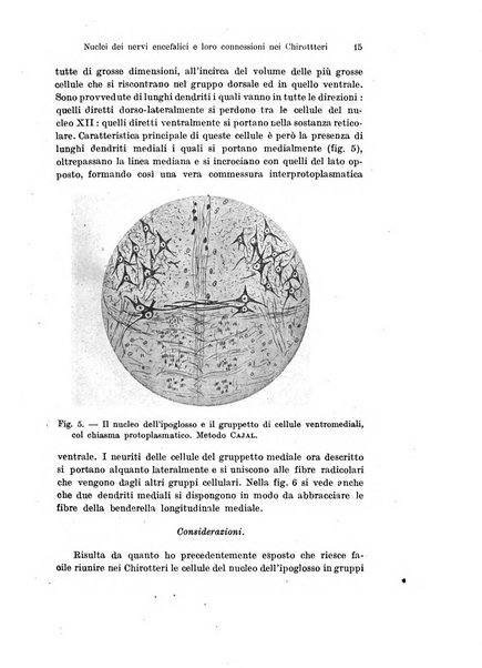 Archivio italiano di anatomia e di embriologia