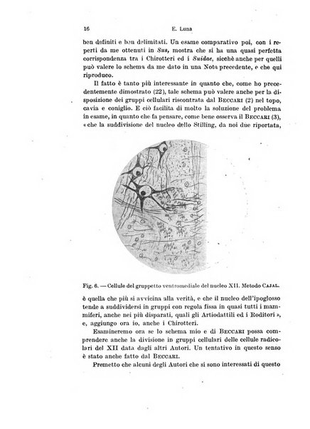 Archivio italiano di anatomia e di embriologia