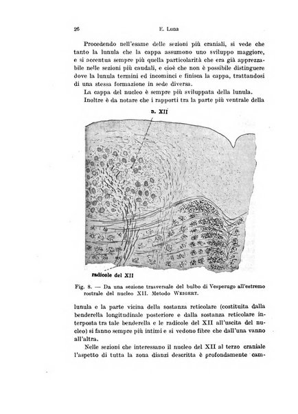 Archivio italiano di anatomia e di embriologia