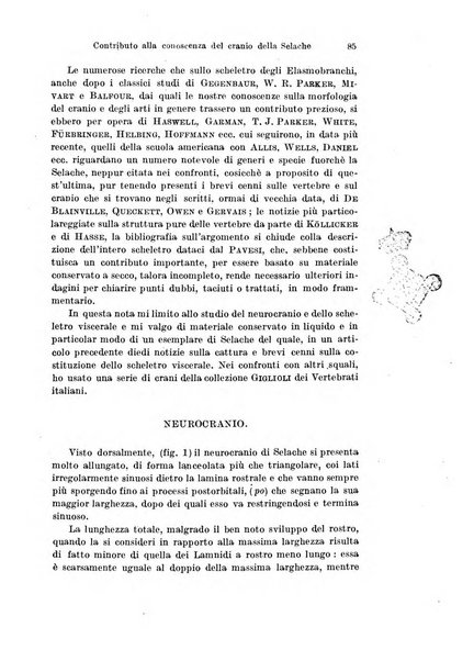 Archivio italiano di anatomia e di embriologia