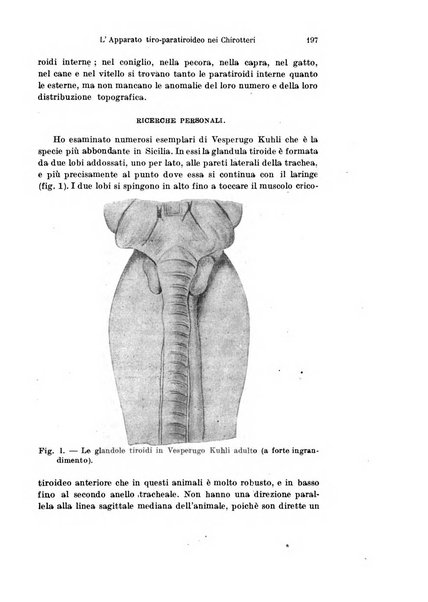 Archivio italiano di anatomia e di embriologia