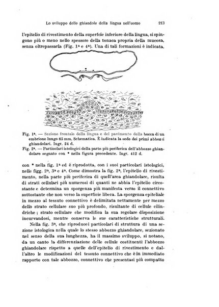 Archivio italiano di anatomia e di embriologia