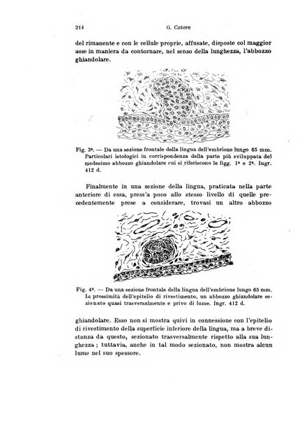 Archivio italiano di anatomia e di embriologia