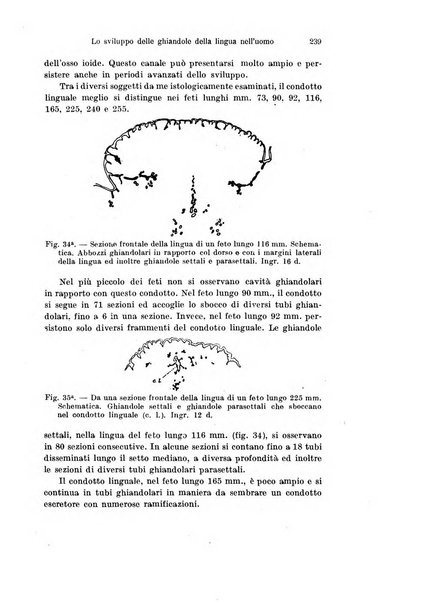 Archivio italiano di anatomia e di embriologia