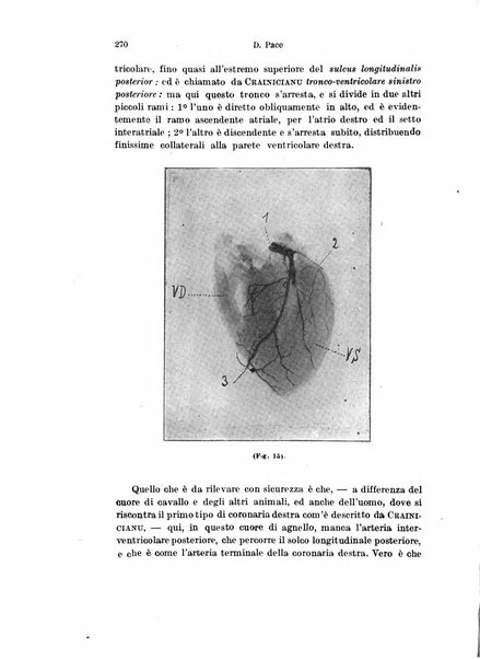 Archivio italiano di anatomia e di embriologia