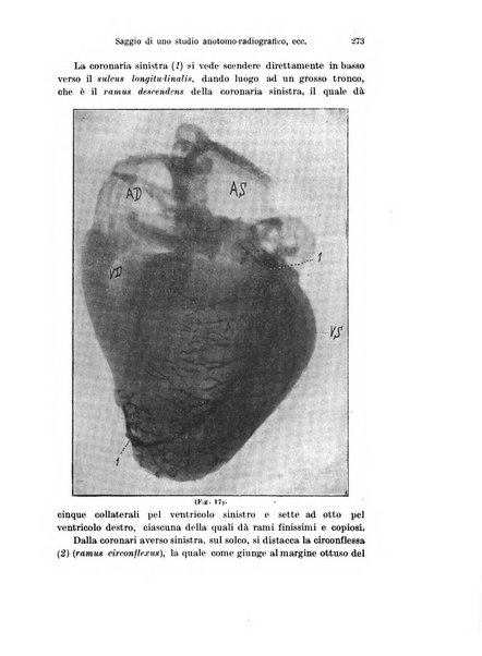 Archivio italiano di anatomia e di embriologia