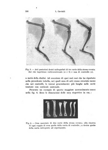 Archivio italiano di anatomia e di embriologia