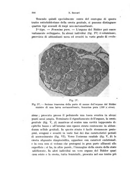 Archivio italiano di anatomia e di embriologia