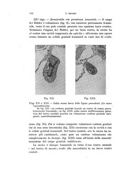 Archivio italiano di anatomia e di embriologia