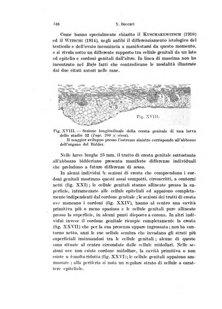 Archivio italiano di anatomia e di embriologia