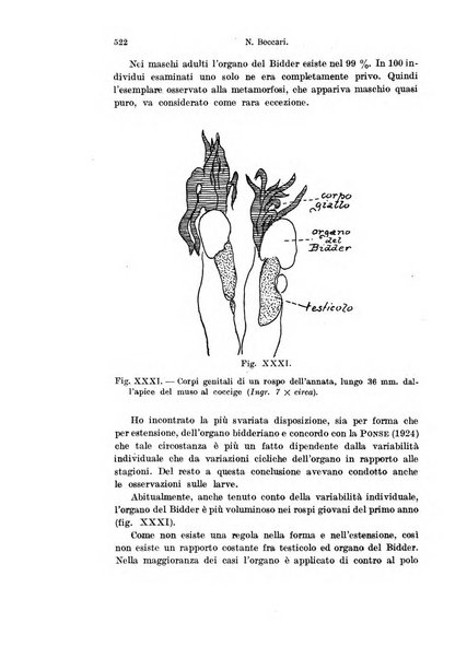 Archivio italiano di anatomia e di embriologia