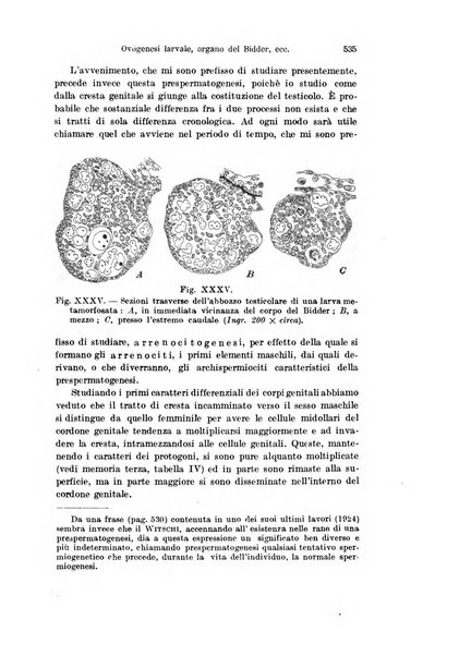 Archivio italiano di anatomia e di embriologia