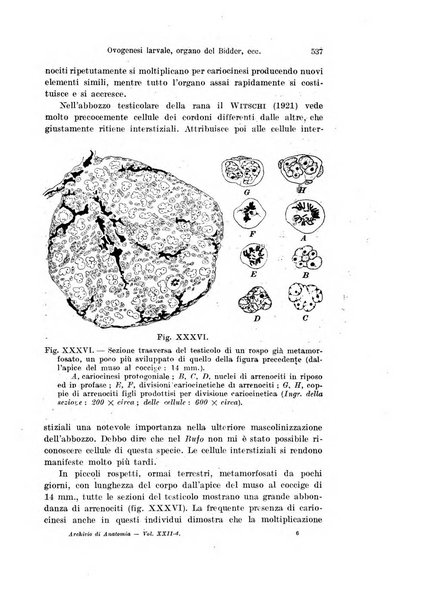 Archivio italiano di anatomia e di embriologia